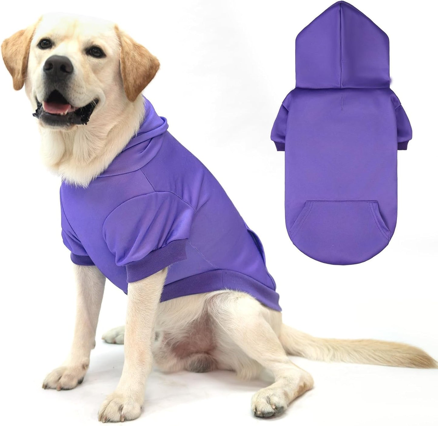 Basic Dog Hoodie