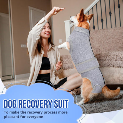 Dog Surgery Recovery Suit - Zipper On Dog Onesies After Surgery