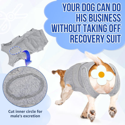 Dog Surgery Recovery Suit - Zipper On Dog Onesies After Surgery