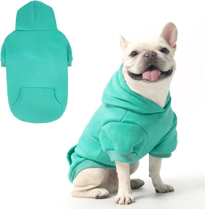 Basic Dog Hoodie