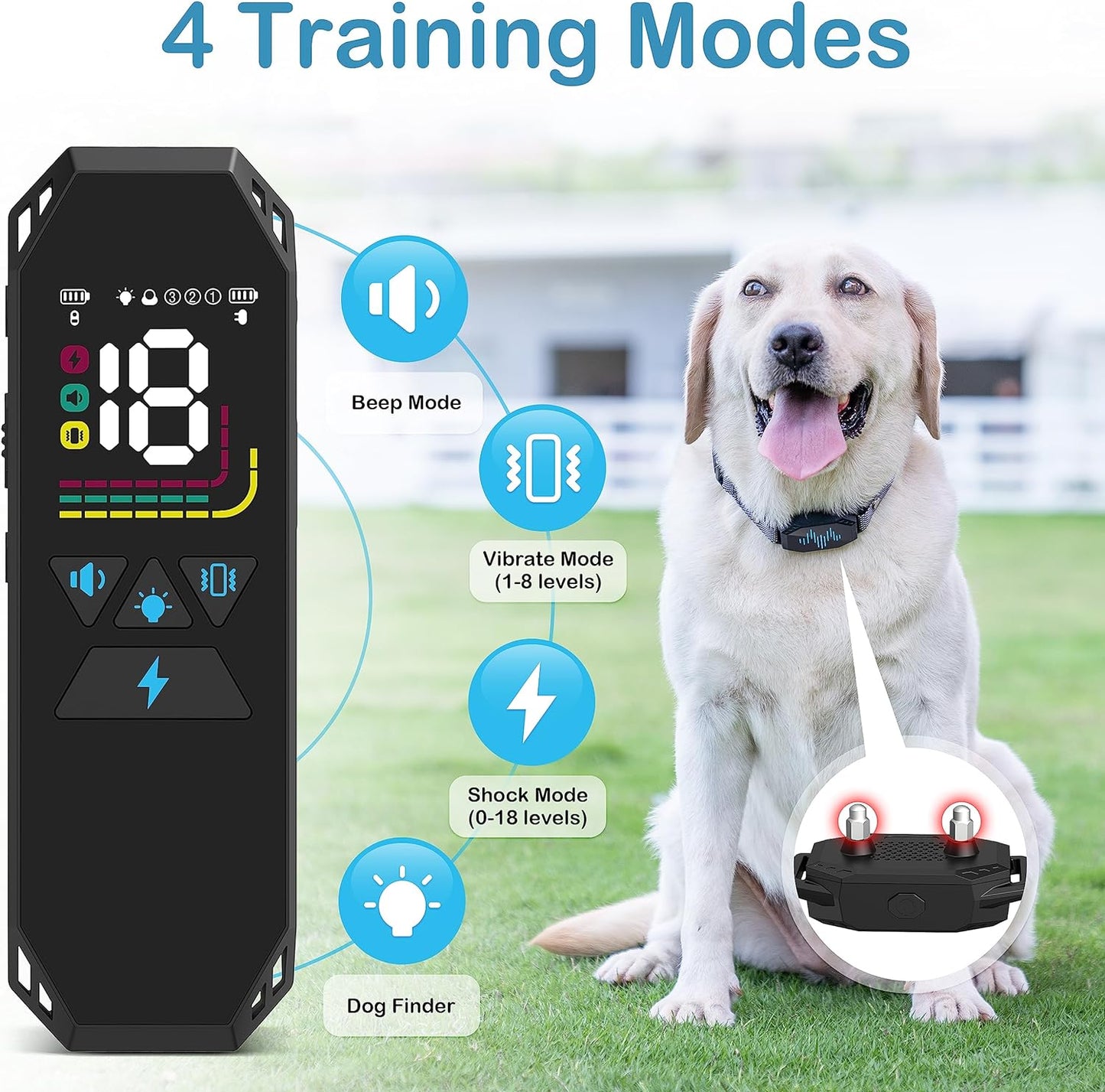 Dog Training Collar for Large Dog